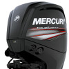 Mercury F 115 EXLPT EFI – billede